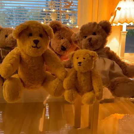 Lumi Appartement Levi